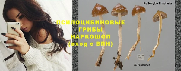 молекула духа Алексеевка