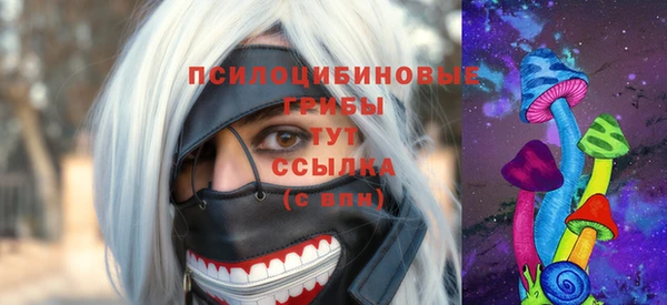 молекула духа Алексеевка