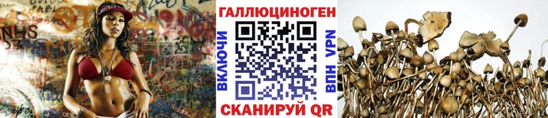 Галлюциногенные грибы Magic Shrooms  Нелидово 